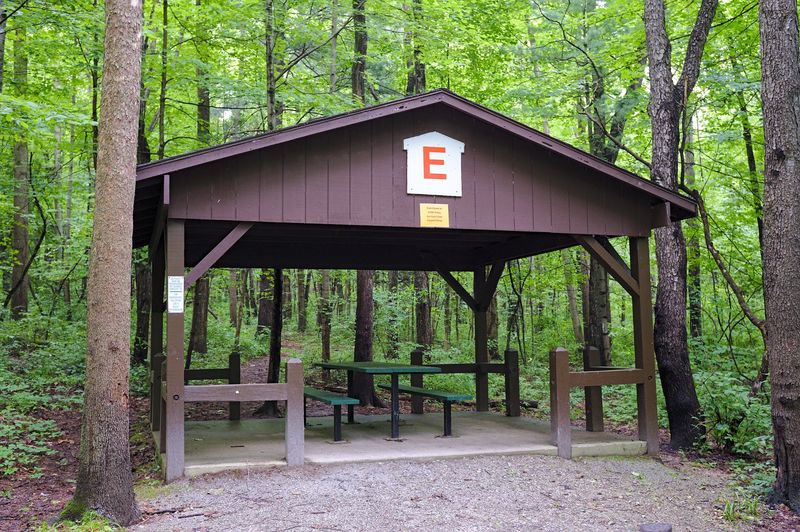 Picnic Spots and Shady Shelters Picnic Spots and Shady Shelters