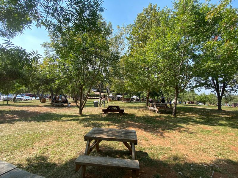 Picnic Tables Under the Apple Trees