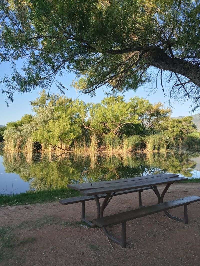 Picnic Tables and Family Afternoons