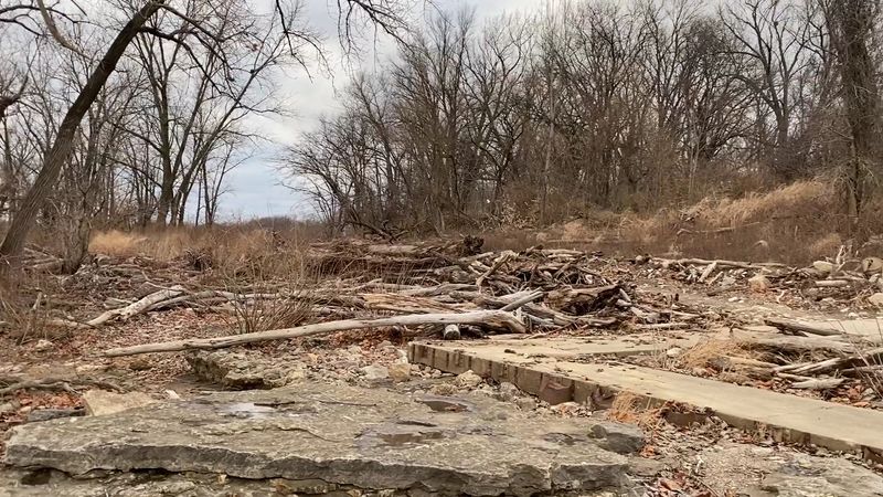 Picnics, Playgrounds, and Driftwood