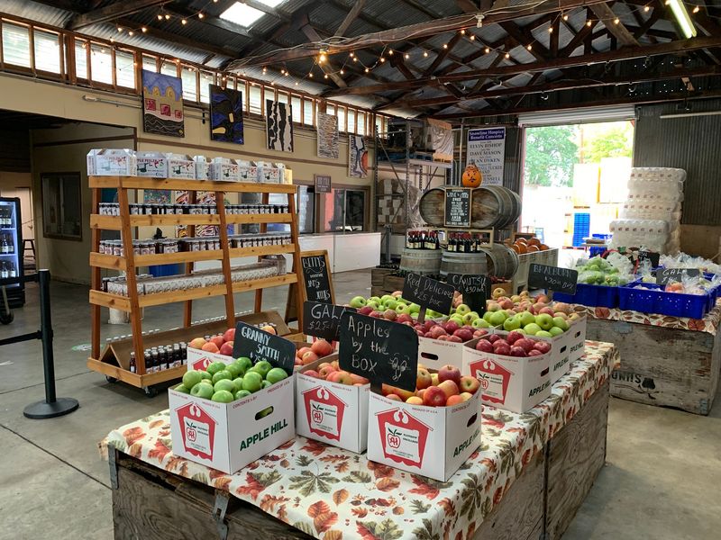Pies, Honey, and Barn Shelf Treasures