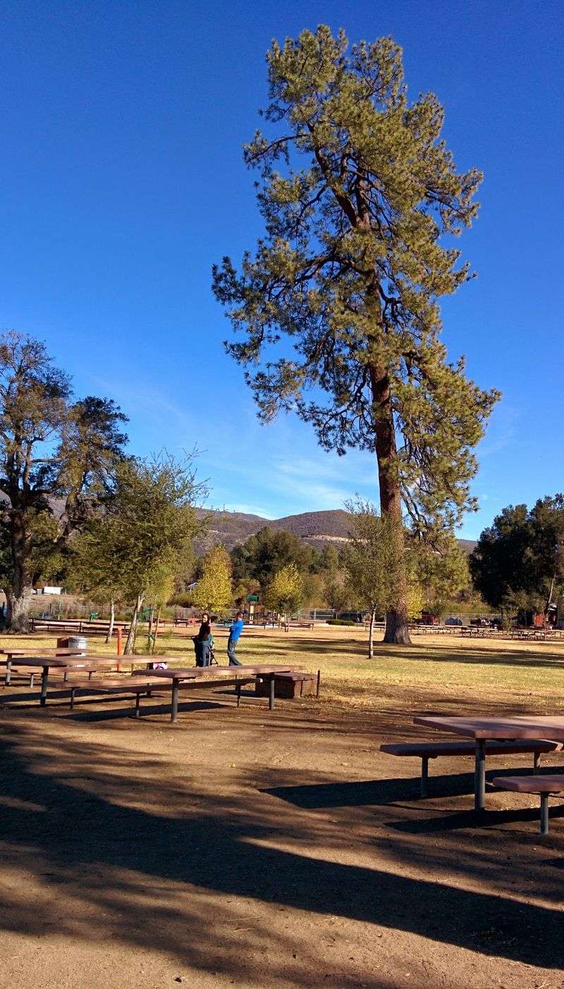 Pine Valley