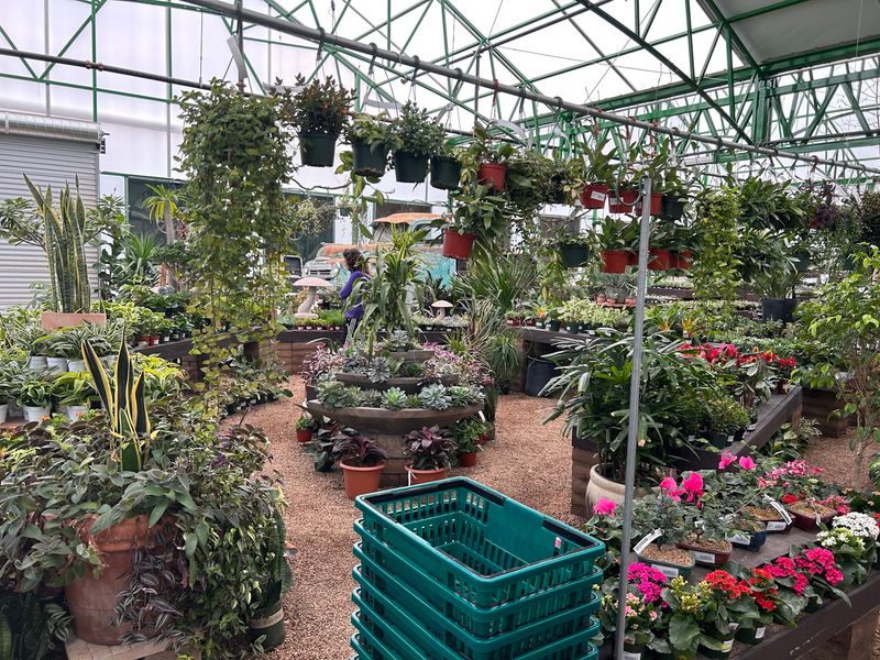 Plant Experts on Golf Carts Plant Experts on Golf Carts