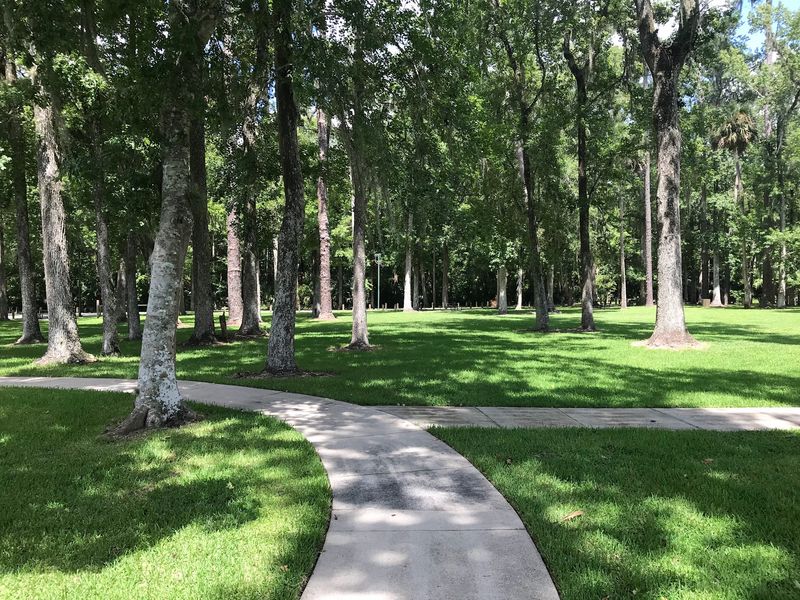 Playground, Pavilion, and Paws Playground, Pavilion, and Paws