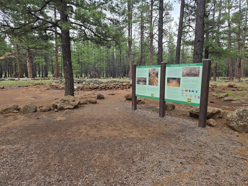Protecting Arizona's Own Underground Treasure Protecting Arizona's Own Underground Treasure