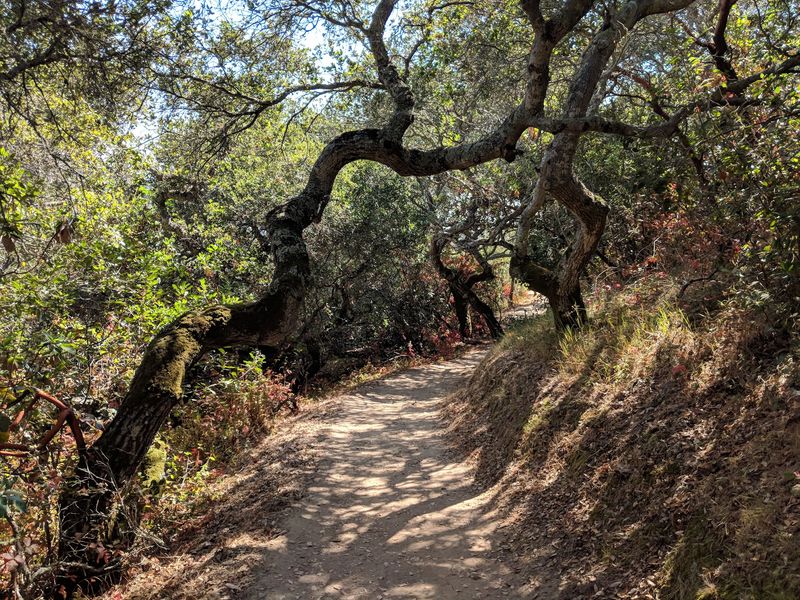 Pulgas Ridge Open Space Preserve Pulgas Ridge Open Space Preserve