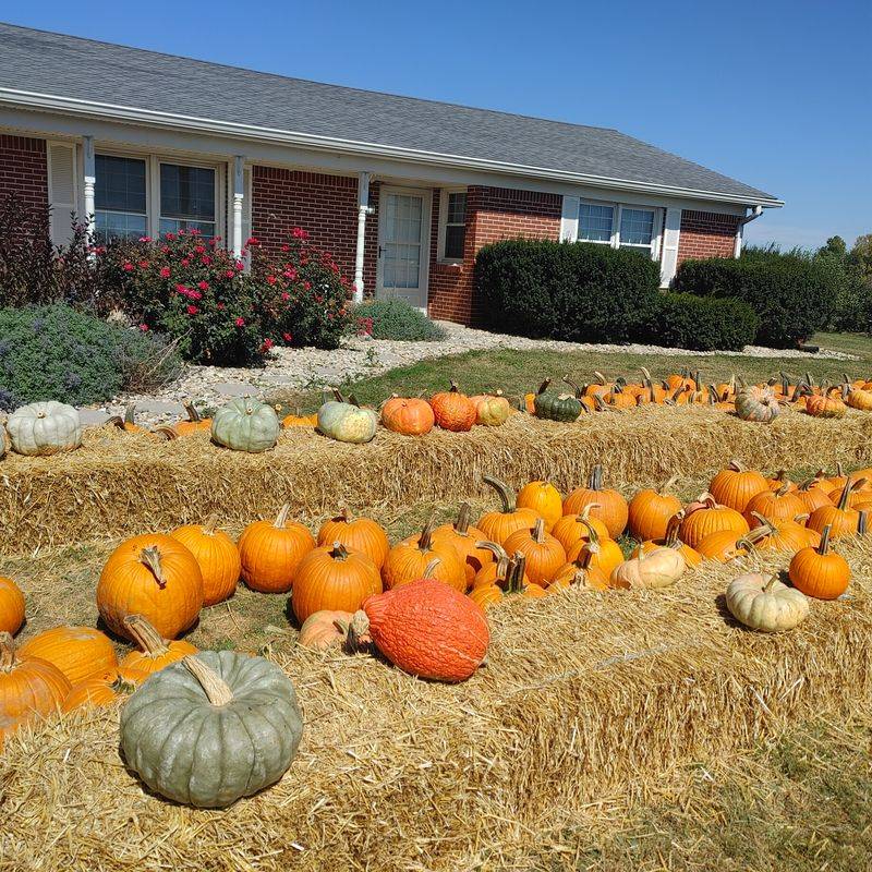Pumpkin Patch and Fall Decor Pumpkin Patch and Fall Decor