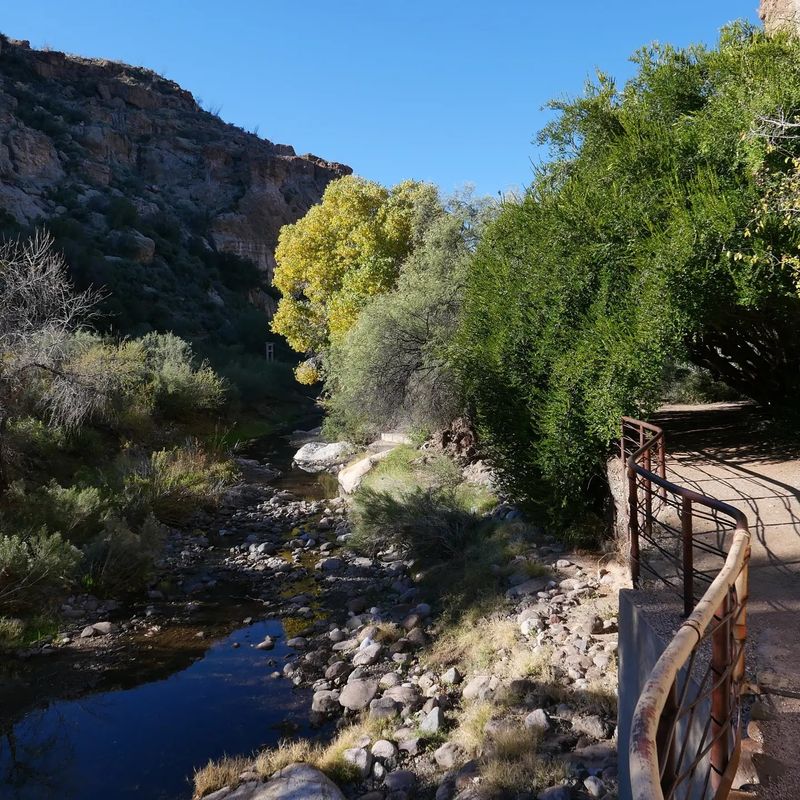 Queen Creek and the Riparian Trail Queen Creek and the Riparian Trail