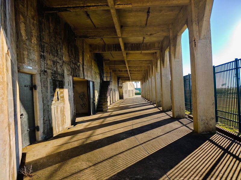 Quiet Days and Fog-Wrapped Afternoons Quiet Days and Fog-Wrapped Afternoons
