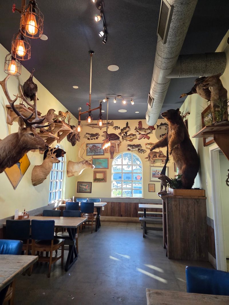 Quirky Signs, Animals, and a Patio