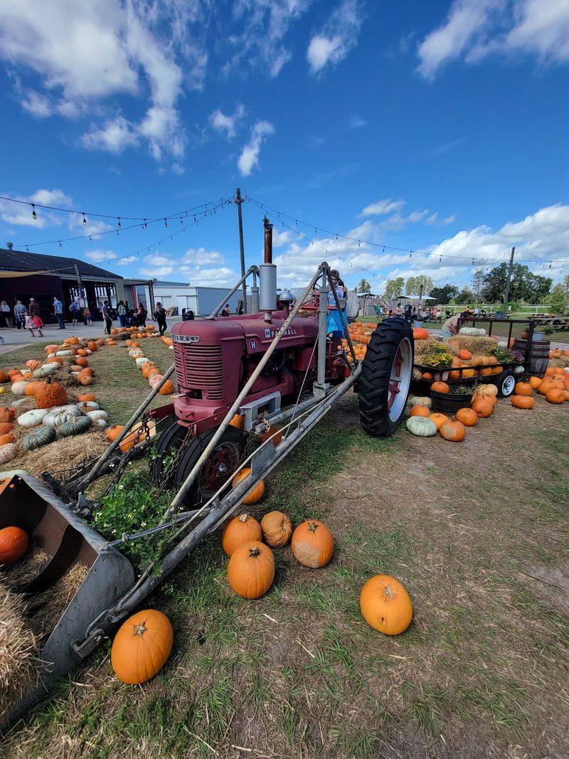 Raprager Farms, Odessa, FL Raprager Farms, Odessa, FL