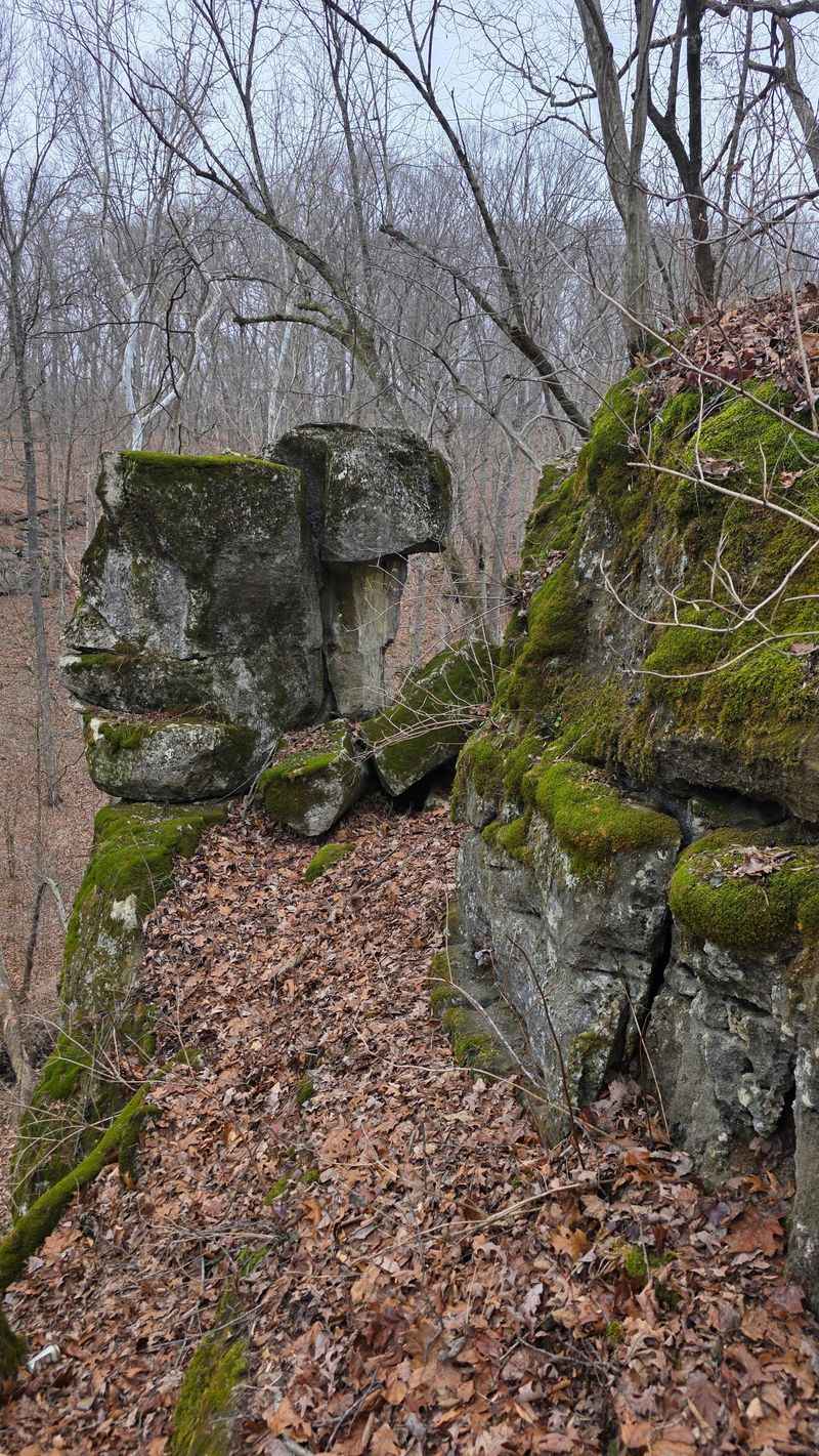 Reading the Landscape: Bluffs and Rocks Reading the Landscape: Bluffs and Rocks