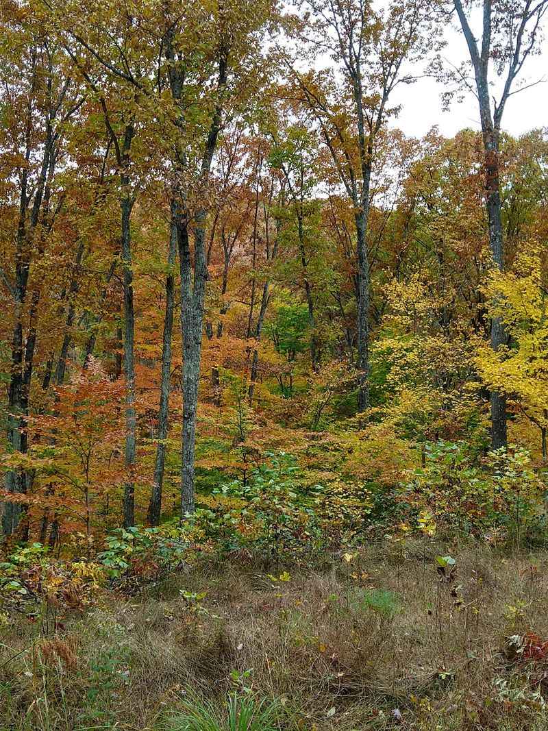 Ridge Trails That Test Your Legs