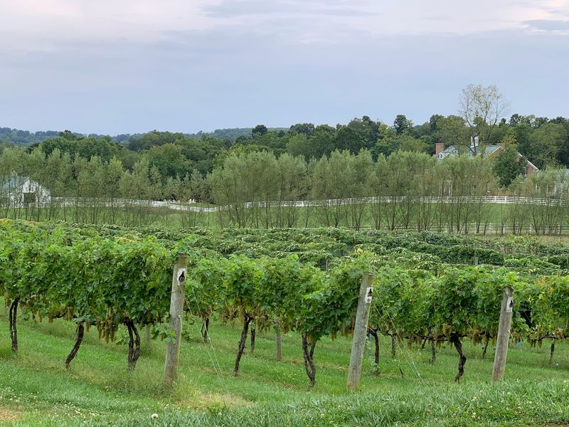 Rockside Winery and Vineyards, Lancaster, OH Rockside Winery and Vineyards, Lancaster, OH