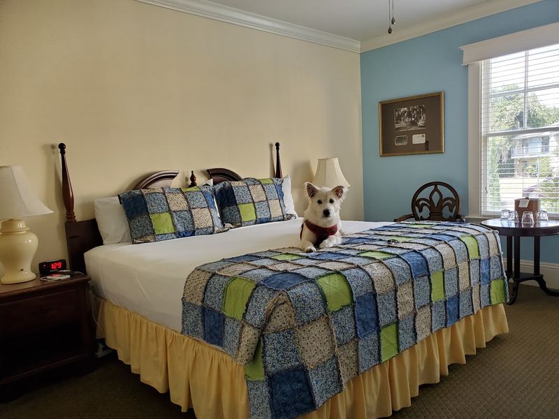 Room for Kids and Canine Companions Room for Kids and Canine Companions