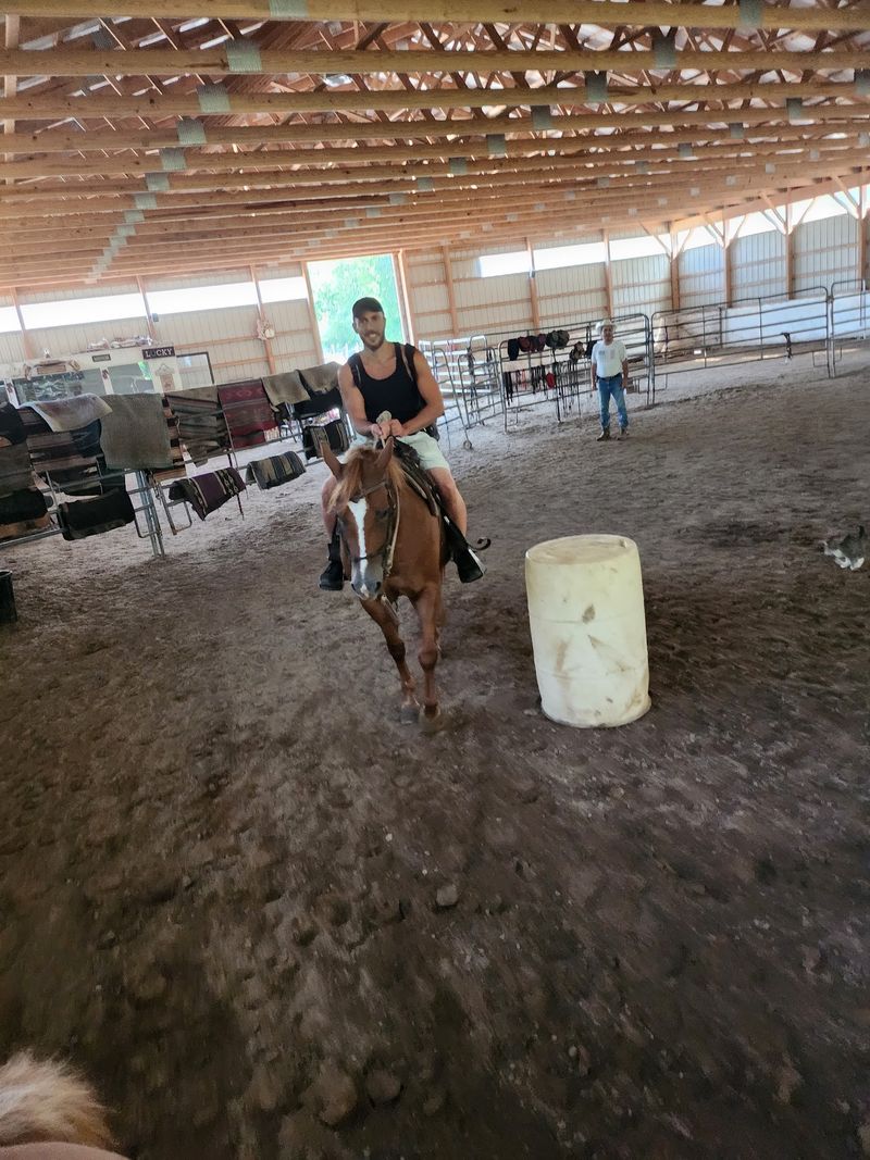 Room to Trot and Canter Room to Trot and Canter