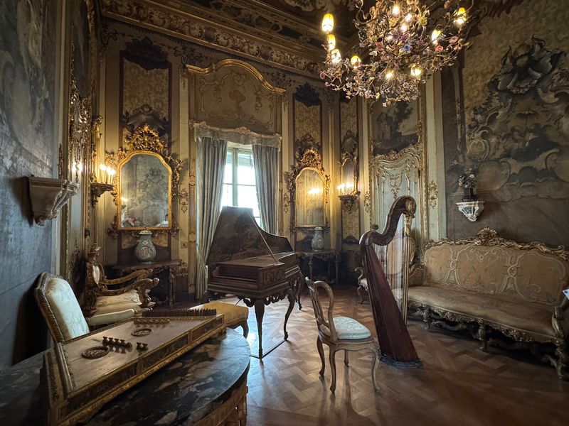 Rooms Full of Gilded Age Detail Rooms Full of Gilded Age Detail
