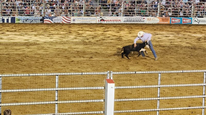 Roping Skills on Display Roping Skills on Display