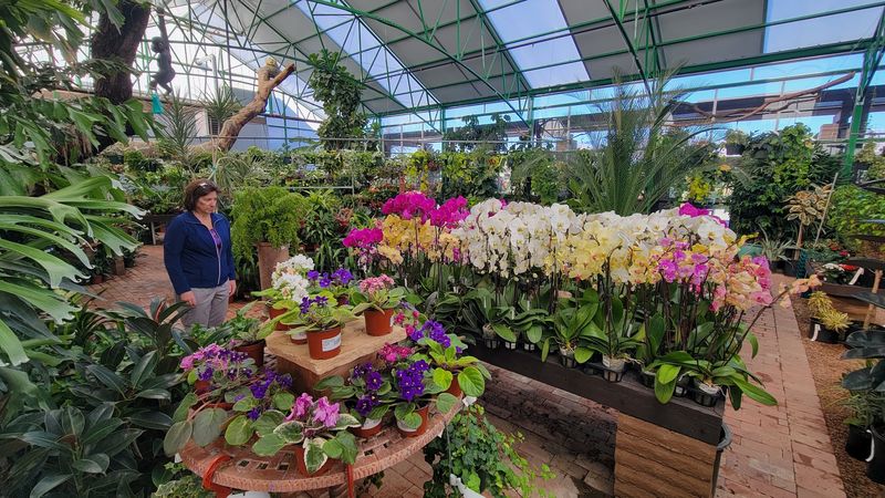 Roses, Fruit Trees, and a Tropical Greenhouse Roses, Fruit Trees, and a Tropical Greenhouse