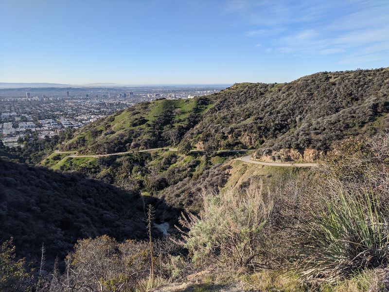 Runyon Canyon Park, Los Angeles, CA Runyon Canyon Park, Los Angeles, CA