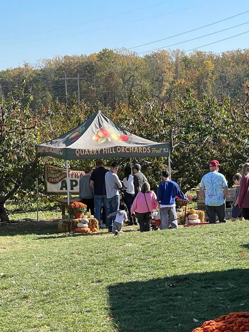 Rural Roots, Apple Peak, and Harvest Fest