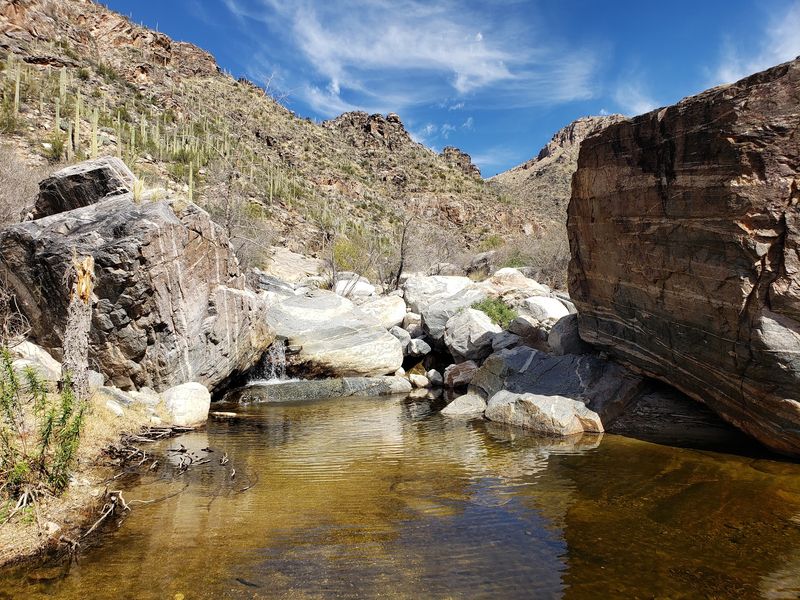 Sabino Canyon Recreation Area, Tucson, AZ