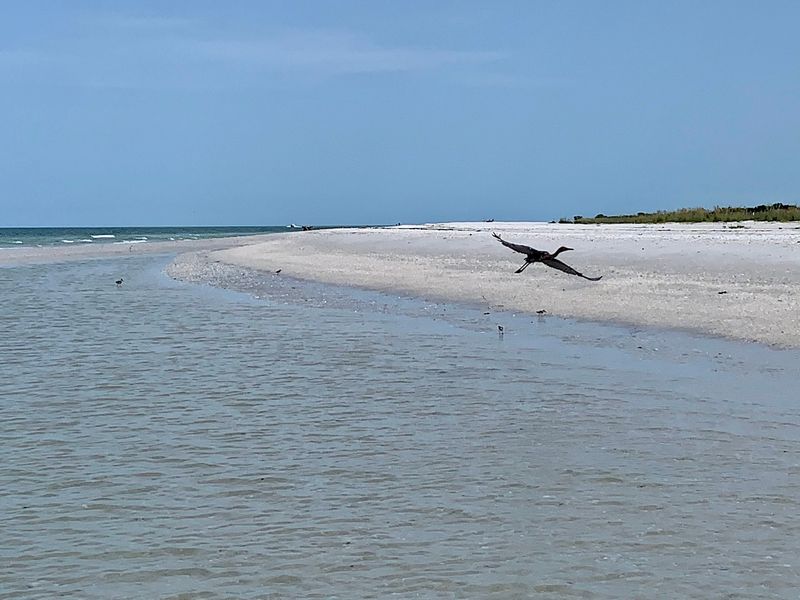 Sand Bars That Appear With the Tide Sand Bars That Appear With the Tide