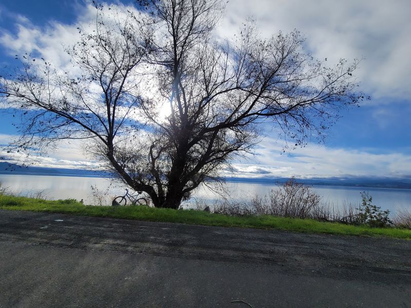 Seasons Around the Lake Seasons Around the Lake