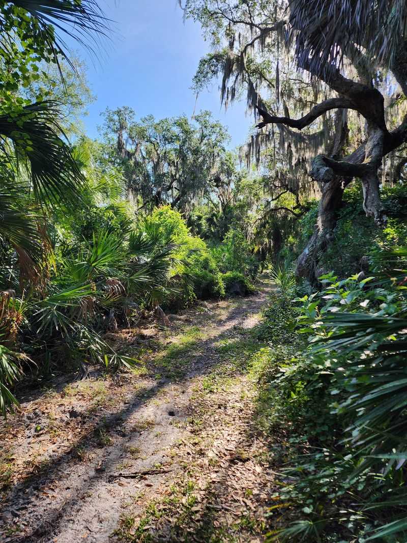 Seven Shady Miles on Buster Island