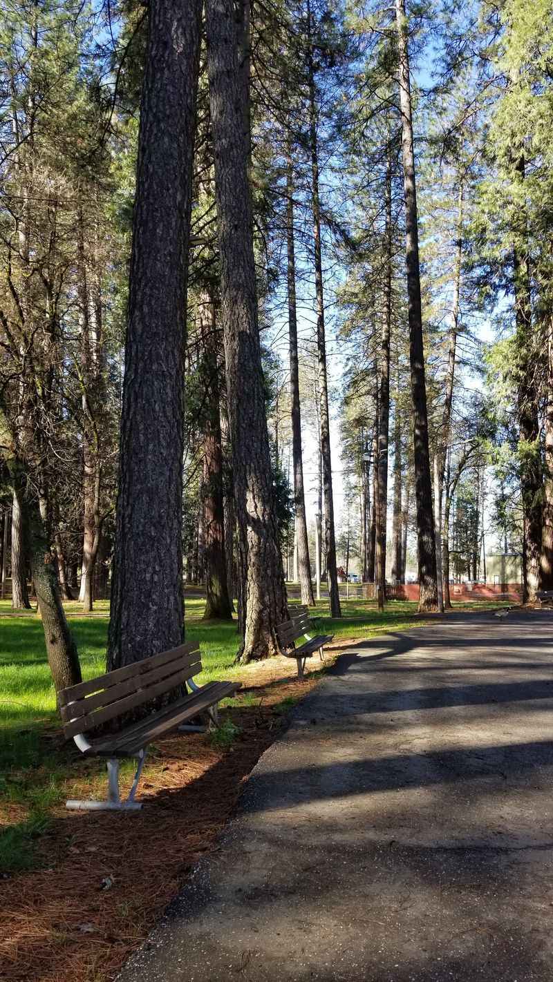 Shade, Paths, and Room to Roam Shade, Paths, and Room to Roam