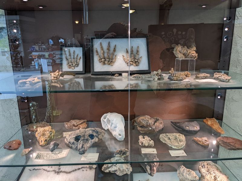 Shelves Full of Ancient Treasures Shelves Full of Ancient Treasures