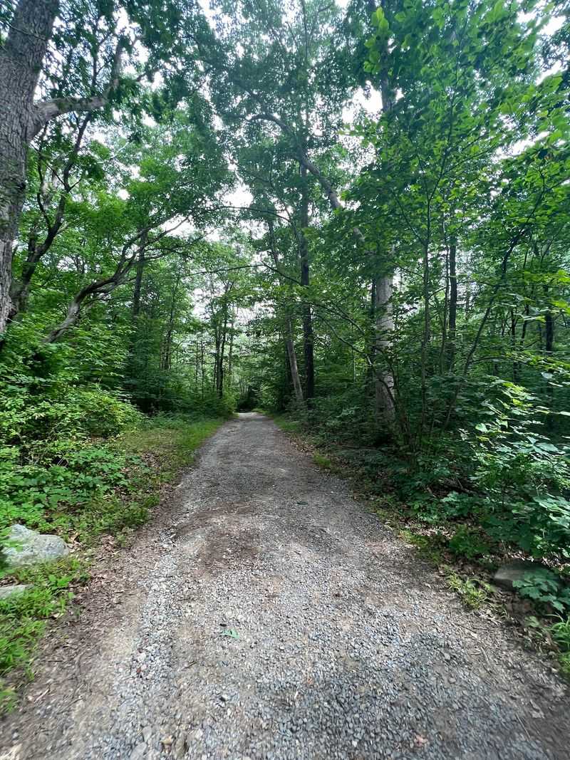 Shuttle Or Trail To The Packs