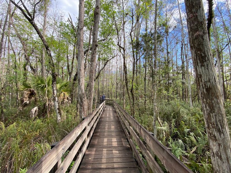 Six Mile Cypress Slough Preserve, Fort Myers, FL Six Mile Cypress Slough Preserve, Fort Myers, FL