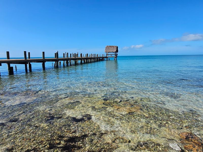 Snorkeling, Swimming, and Sharks at the Dock
