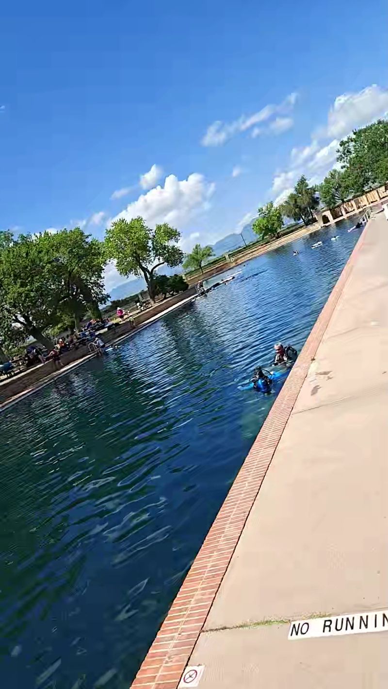 Snorkeling With Fish and Turtles