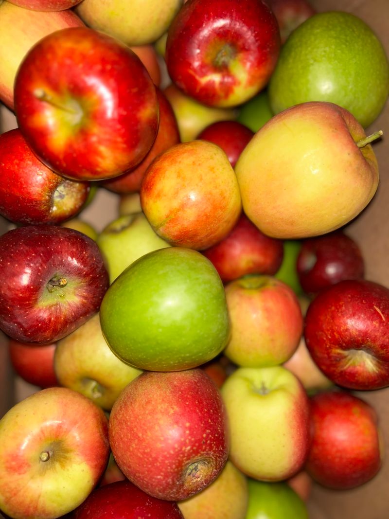 So Many Apple Varieties