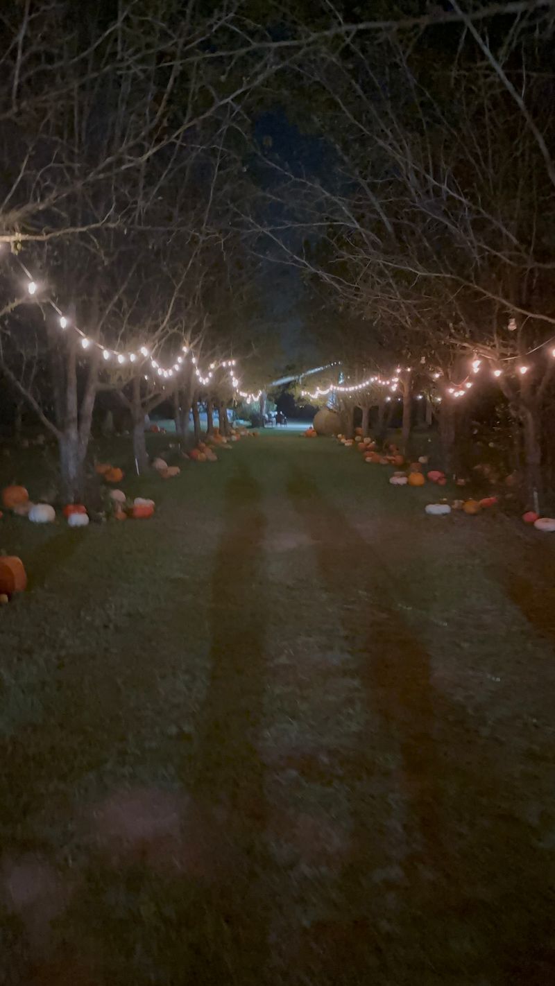 Spooky Nights on the Haunted Trail Spooky Nights on the Haunted Trail