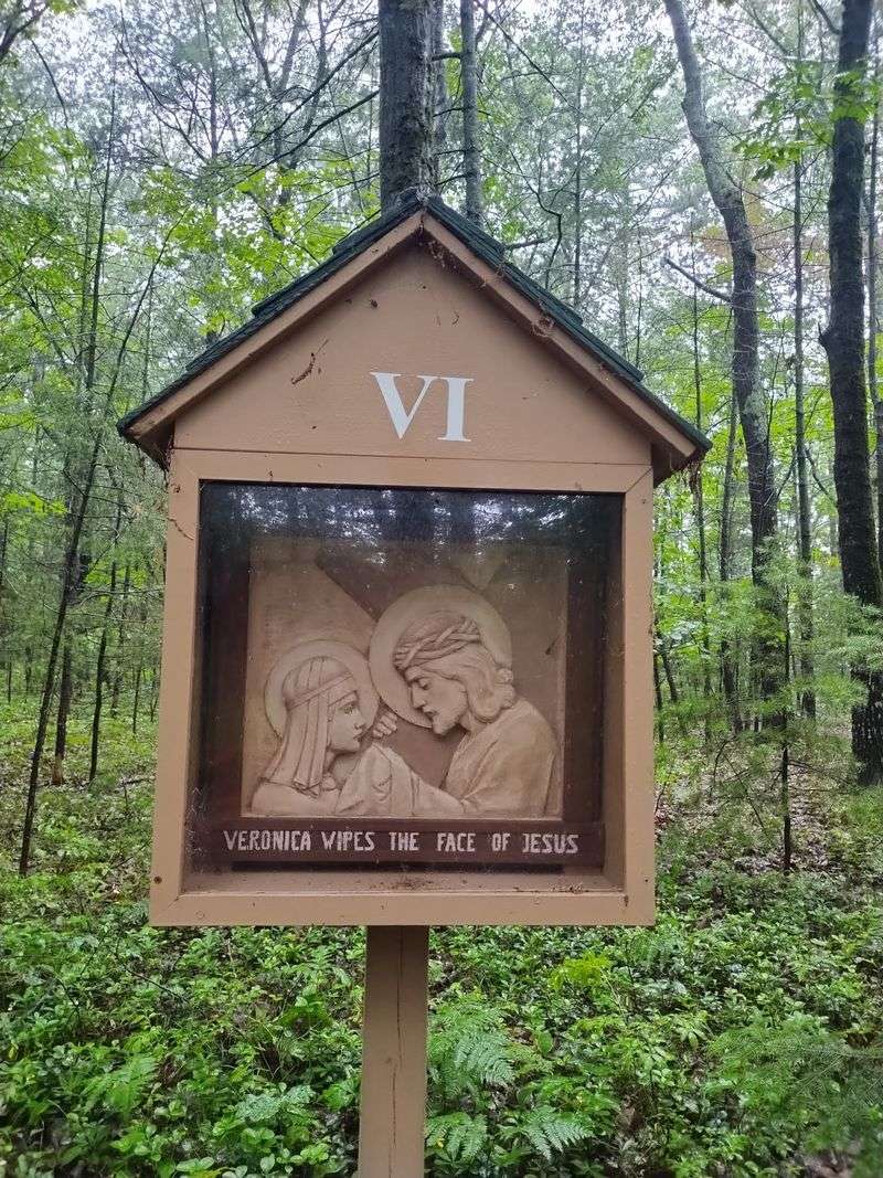 Stations, Saints, and a Paved Path Stations, Saints, and a Paved Path