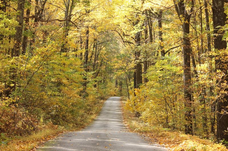 Sunrise Mountain Road in Autumn Sunrise Mountain Road in Autumn