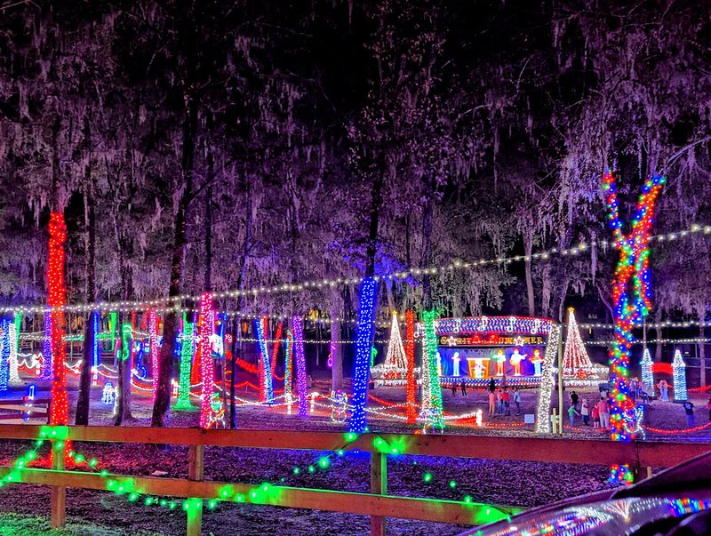 Suwannee Lights, Live Oak, FL
