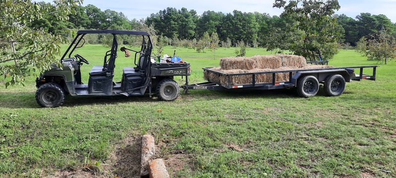 The $5 Hayride The $5 Hayride