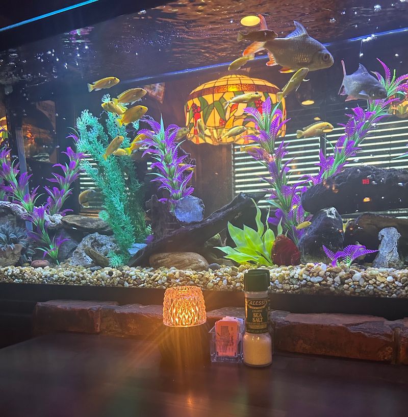 The Aquarium Everyone Wants a Seat Beside The Aquarium Everyone Wants a Seat Beside