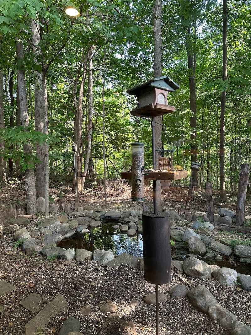 The Bird Watching Room The Bird Watching Room