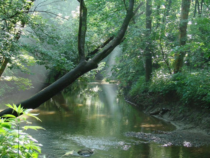 The Creek That Earned Its Name The Creek That Earned Its Name