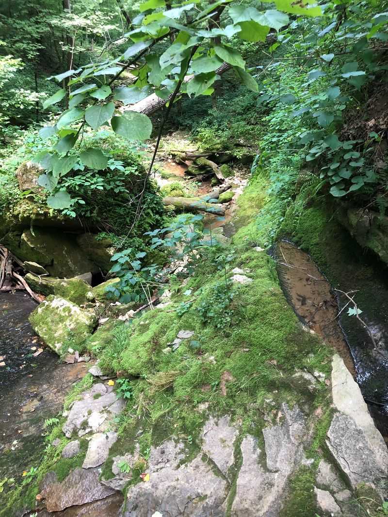 The Creek That Steals the Show The Creek That Steals the Show