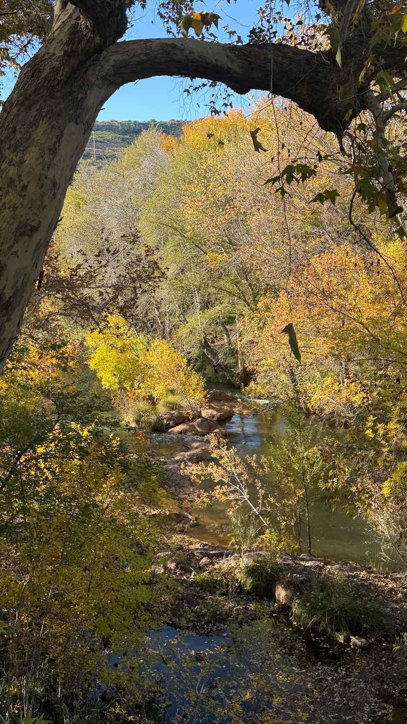 The Creek That Steals the Show The Creek That Steals the Show