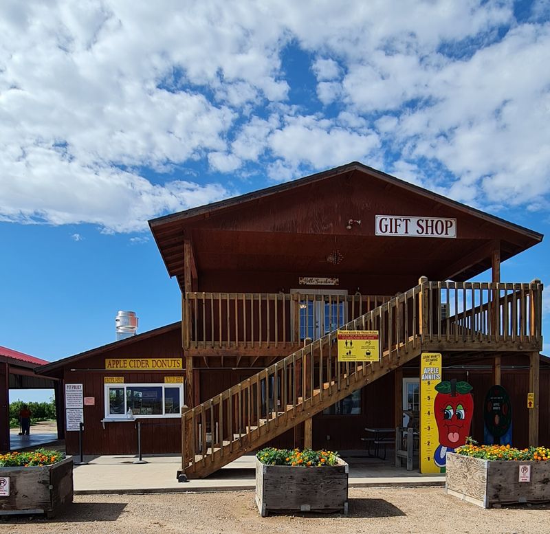 The Donut Line and Lunch Options