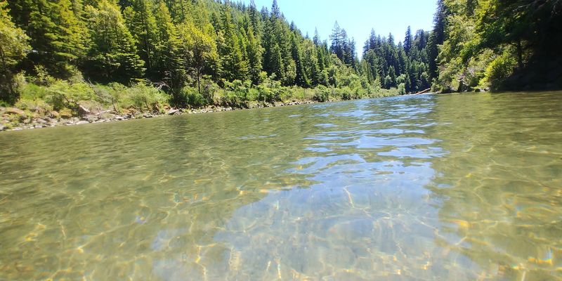 The Eel River Running Alongside