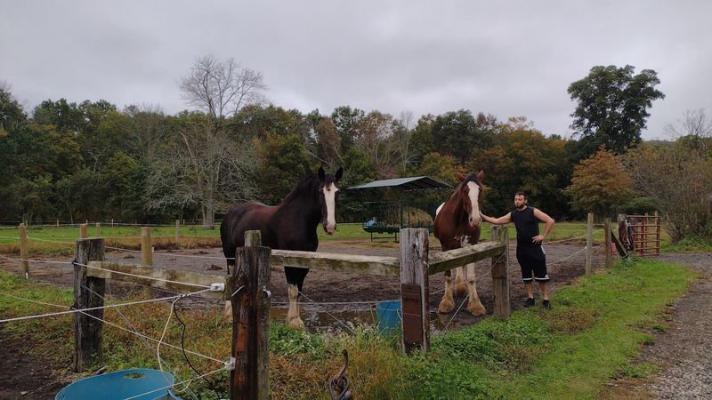 The Family Behind the Barn The Family Behind the Barn