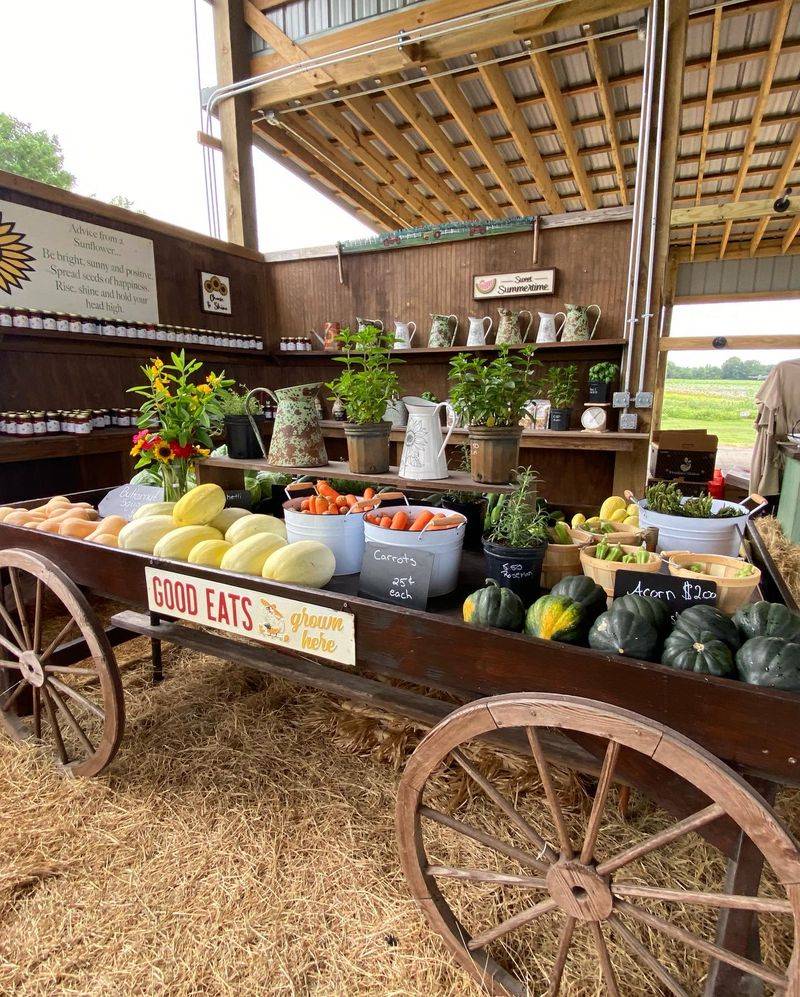 The Farm Stand at the Center of It All